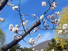 -天津盘山风景名胜区