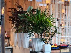 -松咖啡自助餐厅·松北香格里拉