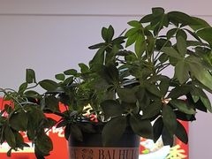 -怪噜范·老贵阳街头名小吃(鸿通城店)