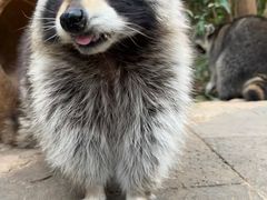 -云南野生动物园