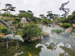 -罗红摄影艺术馆