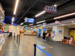-世界之窗阿尔卑斯冰雪世界