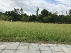 -宁波九龙湖开元度假村