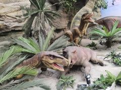 -国家自然博物馆