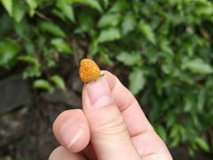 -北仑森林植物园