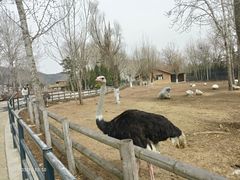 -大连森林动物园