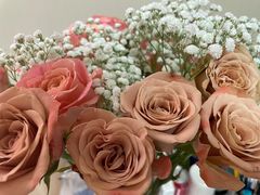 -双季花艺园艺市场(浦东店)