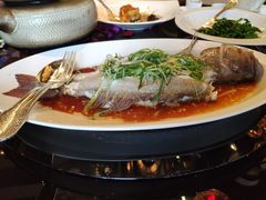 清蒸东星斑-北京四季酒店·采逸轩
