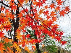 -崂山九水游览区