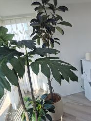 -HEYAN荷妍专业脱毛连锁机构