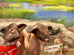 -正佳雨林生态植物园