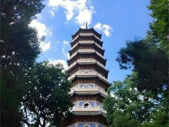 -灵谷景区