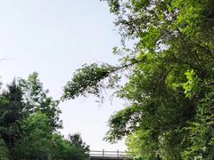 -南京市无想山景区