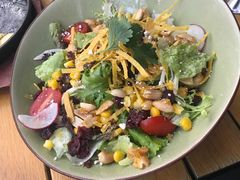 -Cactus墨西哥仙人掌餐厅