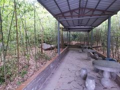 -清凉山国家森林公园