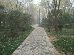 -唐城墙遗址公园