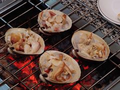 -震海贝烤贝·民俗特色店(延吉总店)