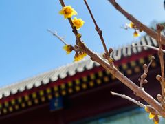 -北京市劳动人民文化宫(太庙)