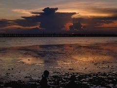 -宝安西湾红树林湿地公园