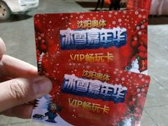 -沈阳奥体冰雪嘉年华