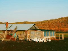 -莫尔道嘎国家森林公园