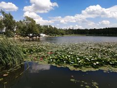 -长春市南湖公园