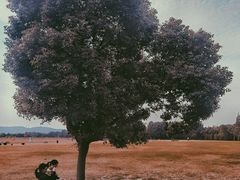 -山明水秀大饭店