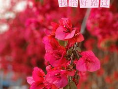 -中国建设银行(成都双林支行)