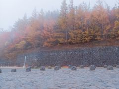 -富士山吉田線五合目