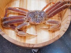 -綱元·海鲜豆捞(明州里店)