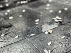 -尼依格罗香港美利酒店