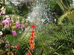 -北京植物园-展览温室
