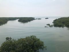 -北海金海湾红树林生态旅游区