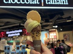 -米兰马尔彭萨国际机场