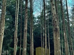 -郑州植物园
