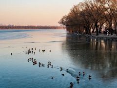 -北京世纪金源购物中心(远大路店)