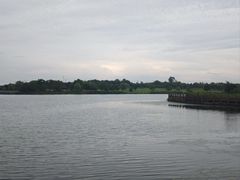 -官亭林海