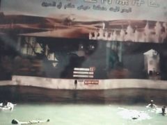 -中国死海旅游度假区
