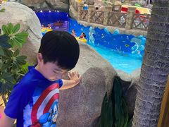 -青岛东方影都融创水世界