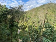 -野象谷景区