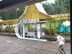 -莫尔道嘎国家森林公园