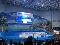 -福州罗源湾海洋世界旅游区