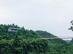 -川西竹海景区