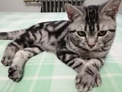 -复兴门(地铁站)