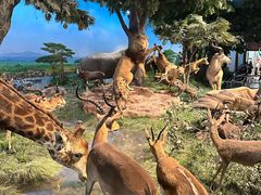 -国家自然博物馆