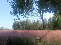 -汉长安城未央宫国家考古遗址公园