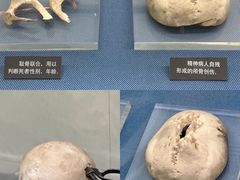 -上海公安博物馆