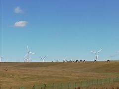 -塞罕坝国家级自然保护区