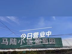 -马陆小张葡萄园农家乐