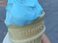 海盐椰子风味圆筒-麦当劳(沙河店)